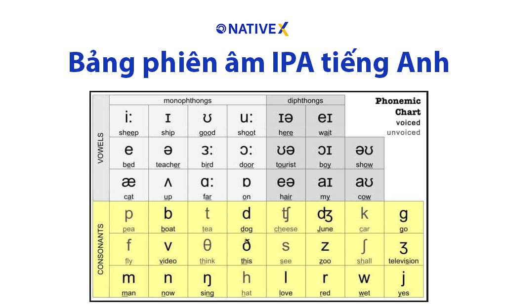 Cách Học Phát Âm Tiếng Anh: Mẹo học chuẩn bảng IPA ~ Tiếng anh (English) Ways To Improve My Resume For Job Applications