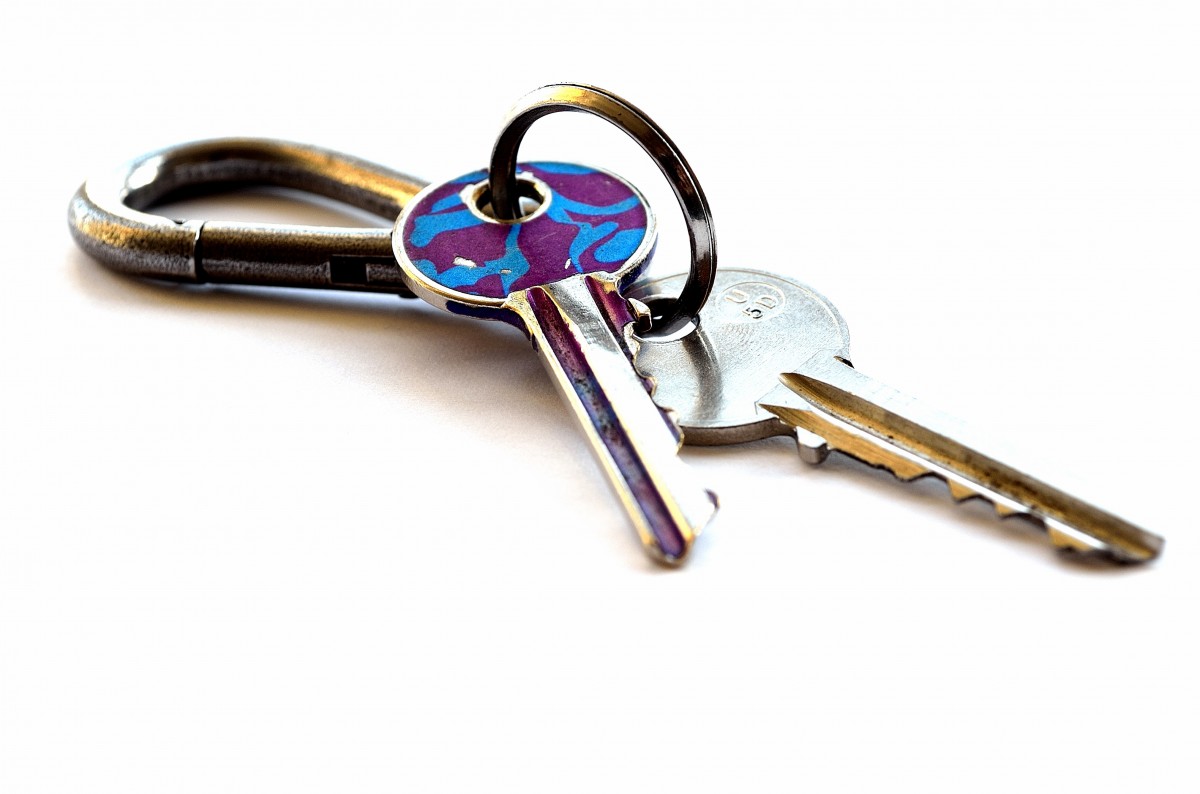 What Are The Key Trends In Job Markets Right Now